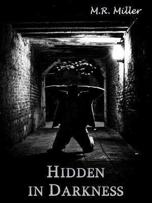 cover image of Hidden in Darkness (An Emily O'Brien novel #7)